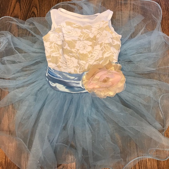 Weissman Other - Girls dance or dress up costume